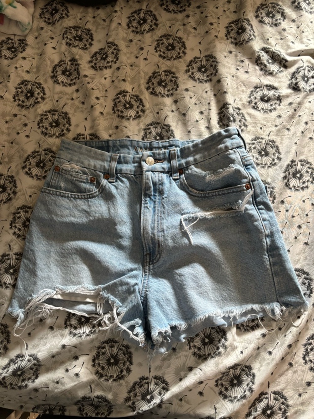 American Eagle Light Wash Denim Distressed Women’s Shorts